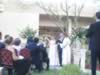 Kelly & Diego Wedding 085.jpg (86kb)